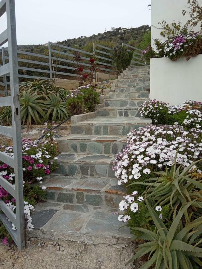 Agnanti Holiday home